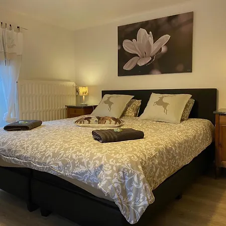 Souvenirs D'Ouren Landhaus 5 Bedrooms Sauna & Outdoor Wellness Дом отдыха Бург-Ройланд